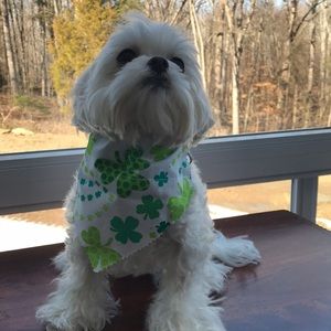 Extra small handmade bandanna for St Patrick’s Day